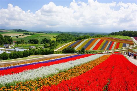 Best Biei And Furano Travel Guide In Hokkaido Prefecture Japan Citys Pride