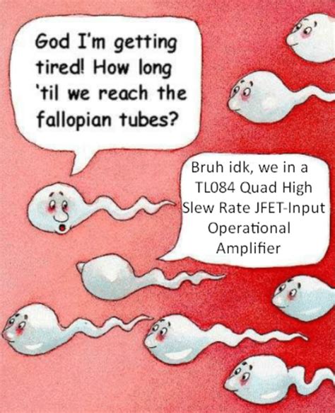 bruh we in a tl084 quad hight slew rate jfet input operational amplifier two sperm cells