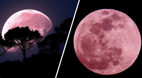 Das phänomen nennt man auch supermond oder pink moon. The Upcoming 'Super Pink Moon' Will Be the Biggest and ...