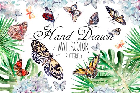 Beautiful Watercolor Butterflies 2933 Illustrations Design Bundles