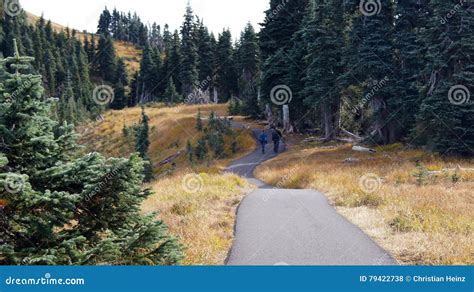 Hurricane Ridge Olympic National Park Washington Usa October 2014