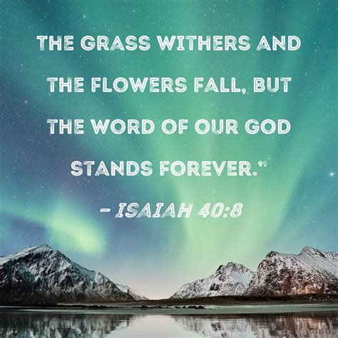 Isaiah The Grass Withers And The Flowers Fall But The Word Of Our