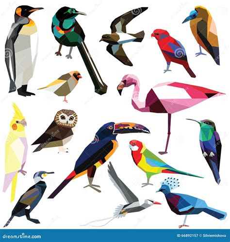 Set Of Birds Stock Vector Illustration Of Blue King 66892157