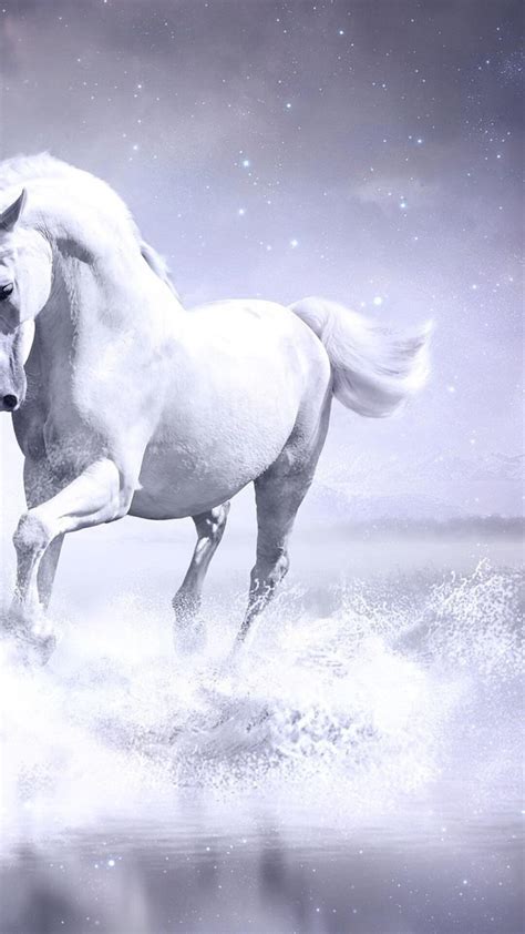 7 Horse Wall Papper Hd White Horse Hd Wallpapers Download White