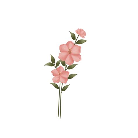 Gambar Pernikahan Bunga Ornamen Pernikahan Bunga Bunga Merah Muda