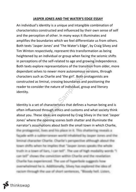 identity essay the aspects of our identity