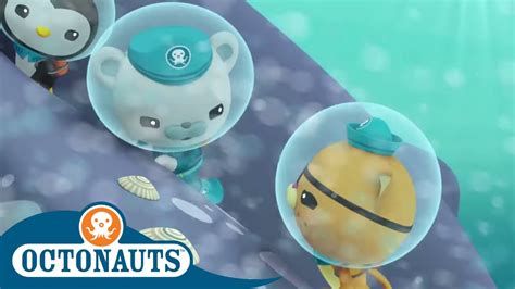 Octonauts Underwater Stories Compilation Cartoons For Kids