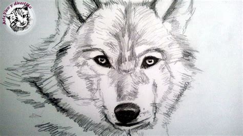 Como Dibujar Un Lobo A Lapiz Paso A Paso Como Dibujar Animales Con