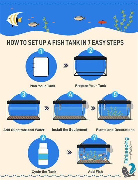 Pin On Fish Tank Set Up Tips