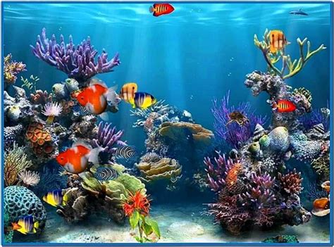 3d desktop aquarium screensaver windows : credalpha