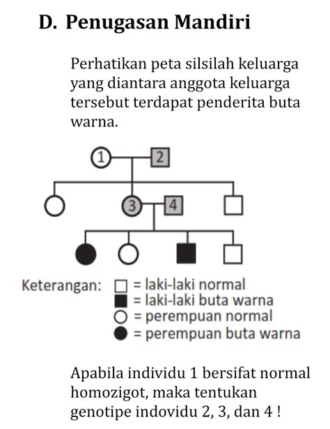 D Penugasan Mandiri Perhatikan Peta Silsilah Kelua Tanya Mipi The