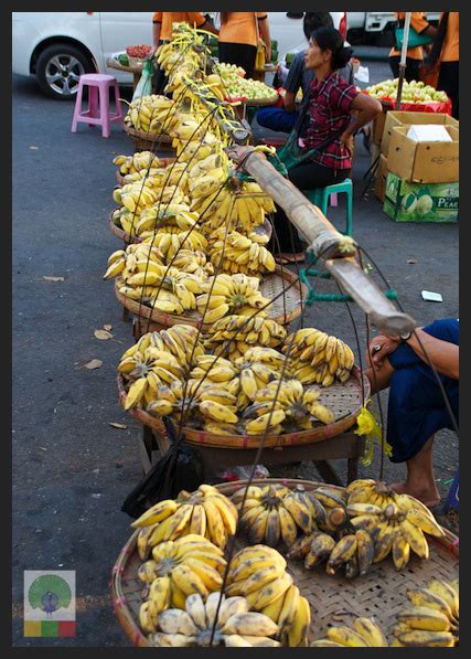 Exotic Fruits In Myanmarmyanmar Travel Essentials