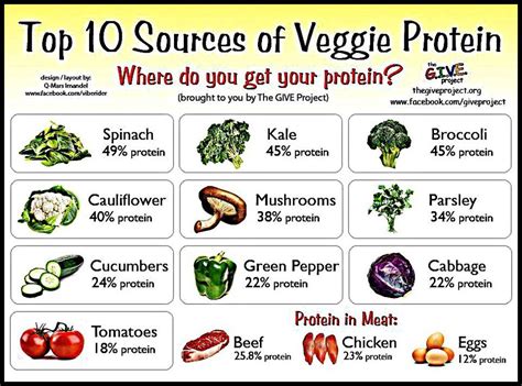 Top Sources Of Veggie Protein Chart Veganification