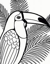 Coloring Pages Parrot Tree Coconut Printable Adults Colouring Bird Print Dessin Coloriage Flying Sheets Color Animal Paper Colorings Kids Getdrawings sketch template