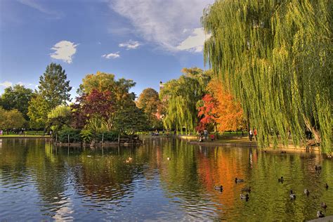 Boston Public Gardens Photograph By Joann Vitali