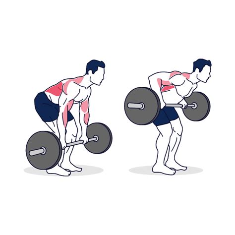 Learn How To Barbell Row With Proper Form Simply Fitness