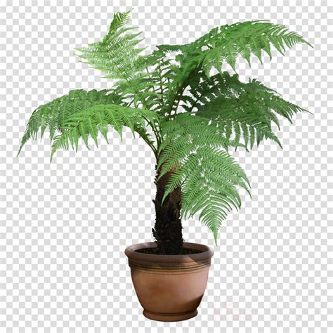 Plants Png Transparent Clipart Houseplant Indoor Plants Transparent