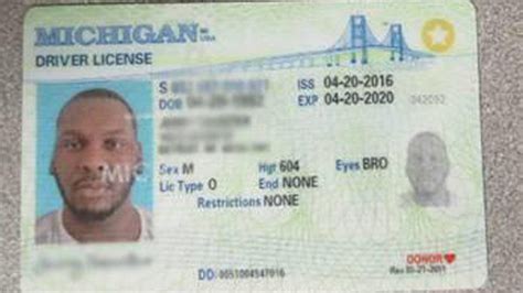 Shipments Of Nearly 20000 Fake Drivers Licenses Seized At Chicago Airport