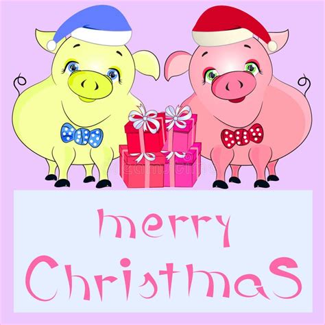 Pigs In A Christmas Sweater Wearing A Red Santa Claus Hat Merry
