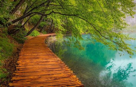 Choose from hundreds of free nature wallpapers. landscape, Photography, Nature, Walkway, Lake, Trees, Path ...