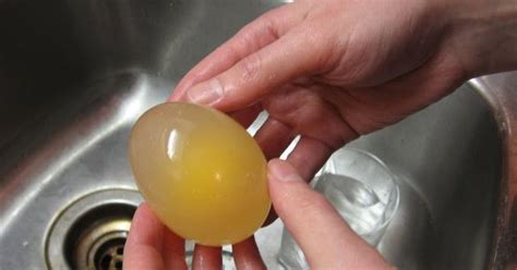 Tywkiwdbi Tai Wiki Widbee How To Make A Naked Egg