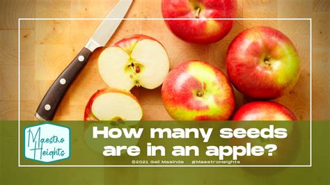 How Many Seeds Are In An Apple Youtube