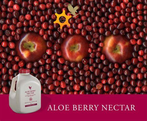 They are also a natural source of healthful. Forever Living Products Pakistan: Nutrition - Forever Aloe ...