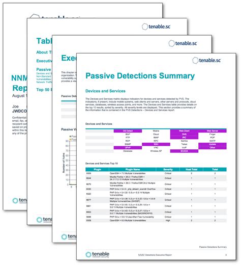 Nnm Detections Executive Report Sc Report Template Tenable