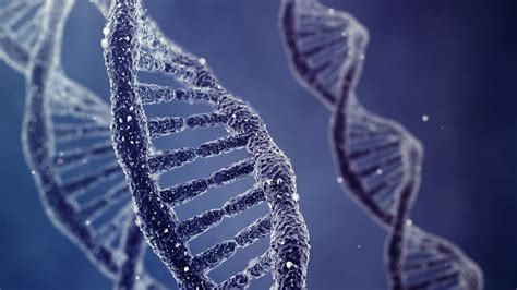 New Dna Structure Has Been Discovered By Australian Researchers
