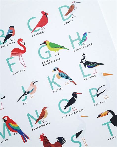 Bird Alphabet Print Alphabet Print Illustration Typography Alphabet