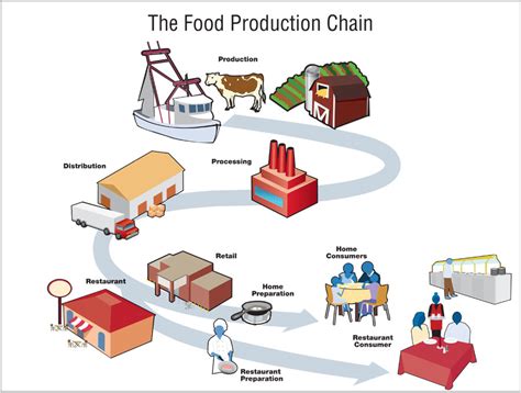 Image The Food Production Chain The Food Production Chain Food