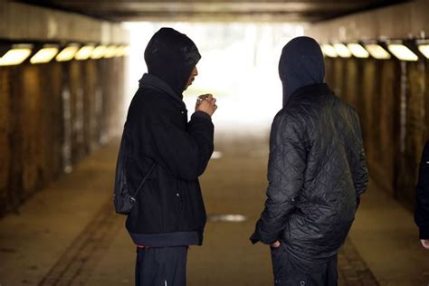 Urban Street Gangs Subzero Ice Bar And Bin Collections What Councils