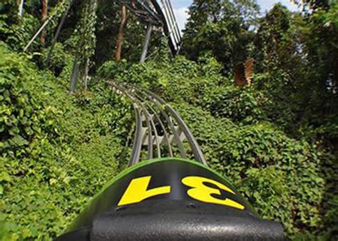 Mystic Mountain Bobsled And Sky Explorer Jamaica Get Away Travels