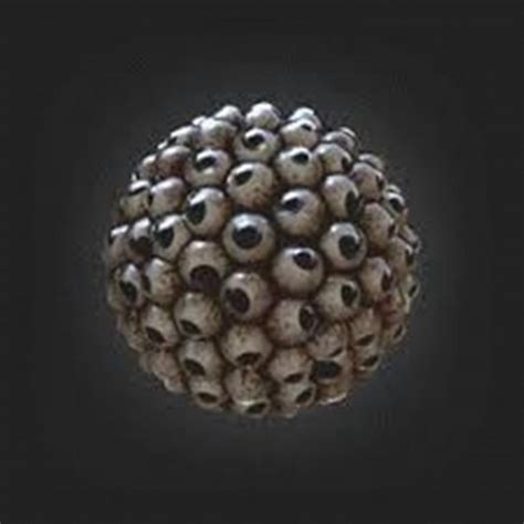 Manmade Trypophobia Reference Website
