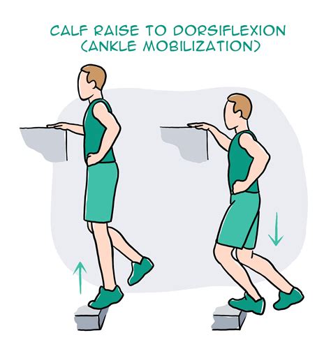Calf Raise To Dorsiflexion Ankle Mobility Exercises Ankle Mobility