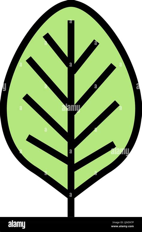 Teak Leaf Color Icon Vector Illustration Stock Vector Image And Art Alamy