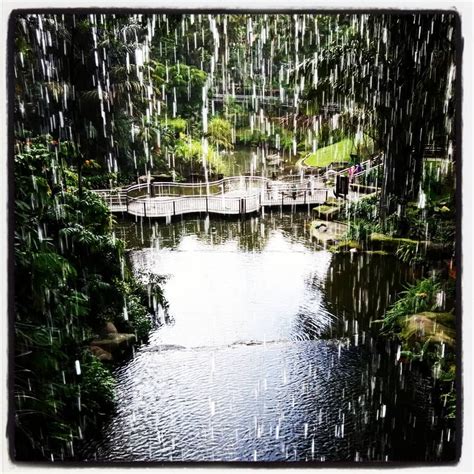 With more than 3,000 birds inside, as well as the wide variety of park attractions, a stop at kl bird park is a must for all birdwatchers and nature. KL Bird Park #kualalumpur #kl #malaysia #citylife # ...