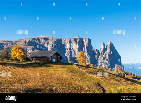 Traditional Huts At Alpe Di Siusi Seiser Alm In Autumn With Sciliar