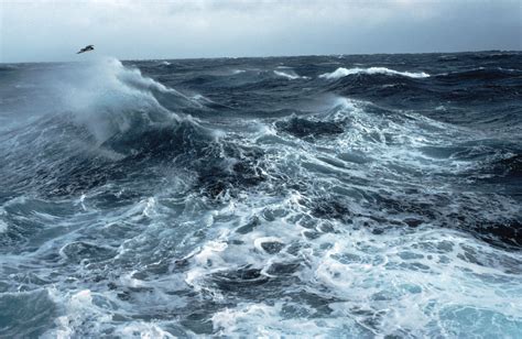 The Southern Ocean Has Produced A Terrifyingly Huge Wave