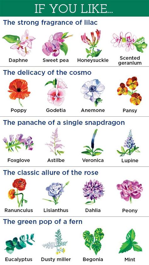 20 Flowers You Ll Love Based On Your Favorites Flower Names Types Of Flowers Plants