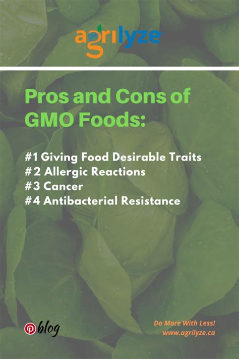 How Are Scientists Using Gmos 4 Pros And Cons Of Gmo Foods