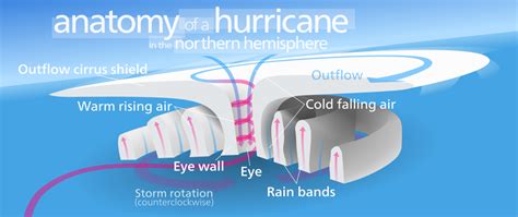 Most tropical cyclones create fast winds and great rains. Tropical Cyclones, Hurricanes and Typhoons - Edexcel IGCSE Geography