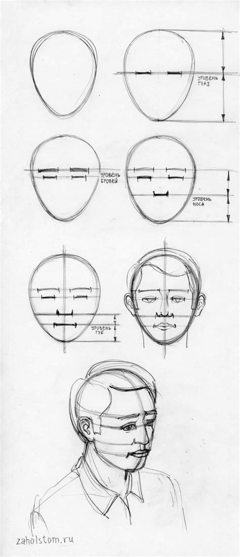 Строение лица человека схема для рисования