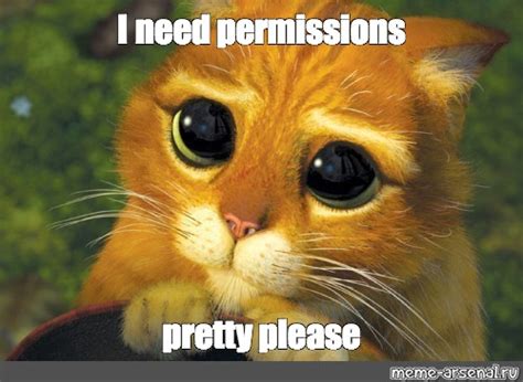 Maybe you would like to learn more about one of these? Meme: "I need permissions pretty please" - All Templates ...