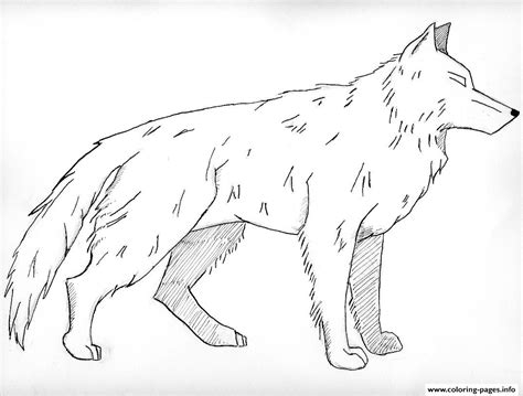 Baby wolf steps outside for the first time: White Wolf Coloring Pages Printable