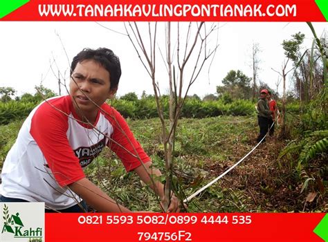 Lokasi kavling super murah siap bangun lansung, harga mulai 25 juta, bisa kredit selama 3 tahun tanpa bunga tanpa denda TANAH KAVLING PONTIANAK | 0853 4502 3339 | KAVLING KREDIT ...