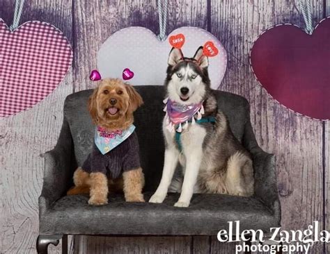 I love money 2 or i love money (season 2) is the second season of the vh1 reality television series i love money, created by surreal life executive producers cris abrego and mark cronin. Pooches & Smooches Show Love, Money For Cancer Charity ...