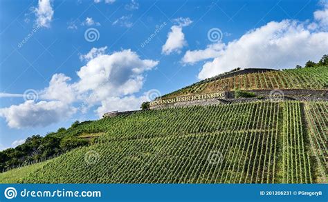 Beautiful Steep Vineyards On The Rhine River Near Assmannhausen In