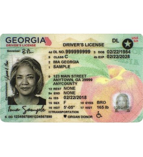 Georgia Drivers License Novelty