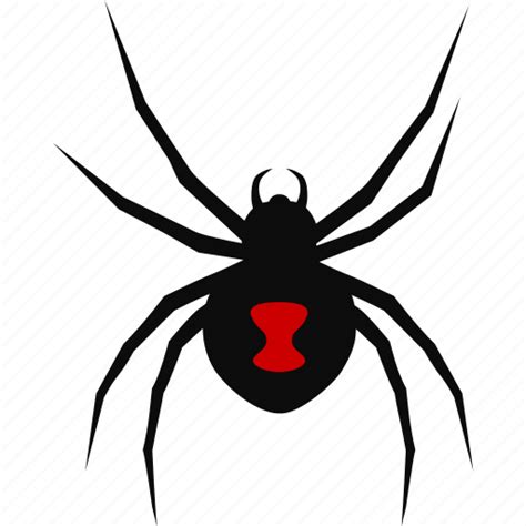 Arachnid Arachnophobia Black Deadly Poisonous Spider Widow Icon